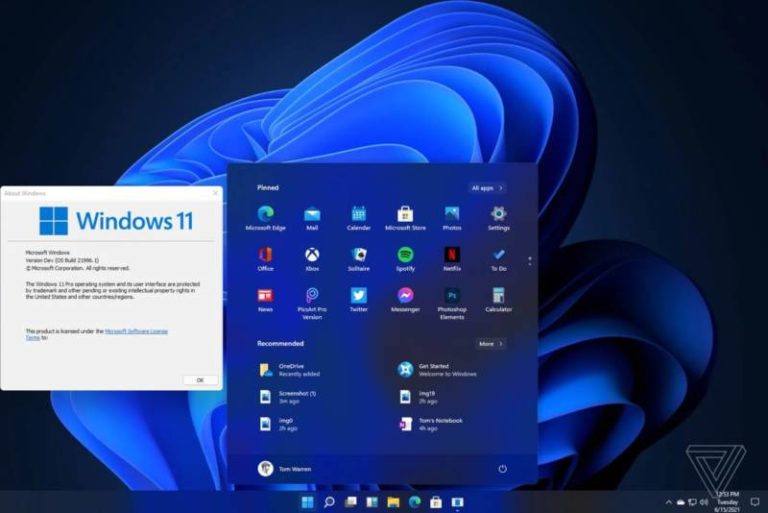 windows 11 beta review
